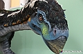 VBS_0916 - Dinosauri. Terra dei giganti